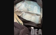 DEA Busts WA Smuggler With Enough Carfentanil to Kill 50K People