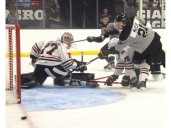 Brantford Bulldogs make triumphant return to civic centre