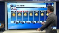 7 day forecast