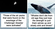 25 Disturbing Facts That People Probably Shouldn’t Have Shared But Did Anyway
