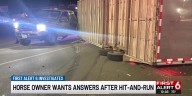 Omaha horse owner wants answers after hit