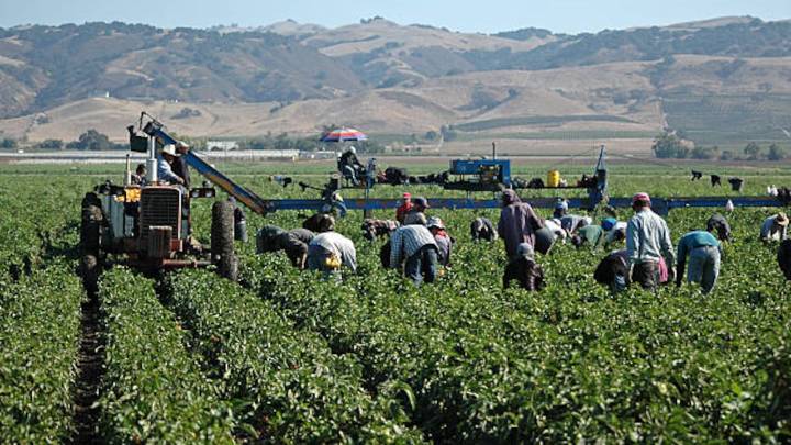 Esta ciudad de Estados Unidos protegerá a los trabajadores inmigrantes de las redadas de ICE y no permitirá arrestos