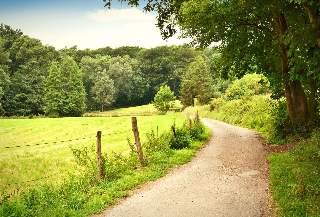 Delta National Forest backroads named Mississippi’s top gravel drive in roadtrip survey