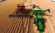El Gobierno anunció "retenciones cero" a los granos para sumar dólares y calmar la tensión cambiaria