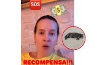 Gaby Platas ofrece varios miles de pesos para rescatar a perrito en Mérida