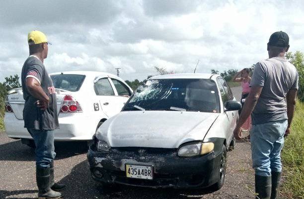 ‎¡Casi tragedia! Vaca provoca accidente en la vía al sur de Monagas