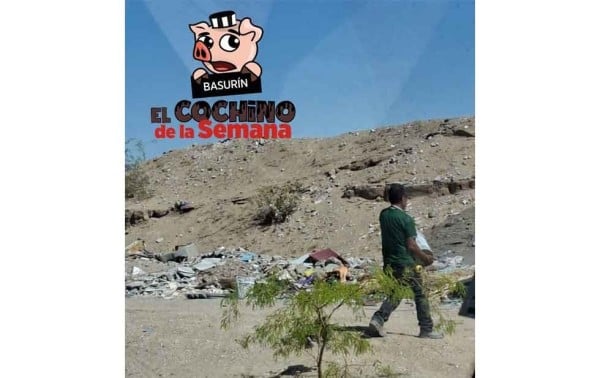 Apoyan juarenses para reportar al ‘El Cochino de la Semana’