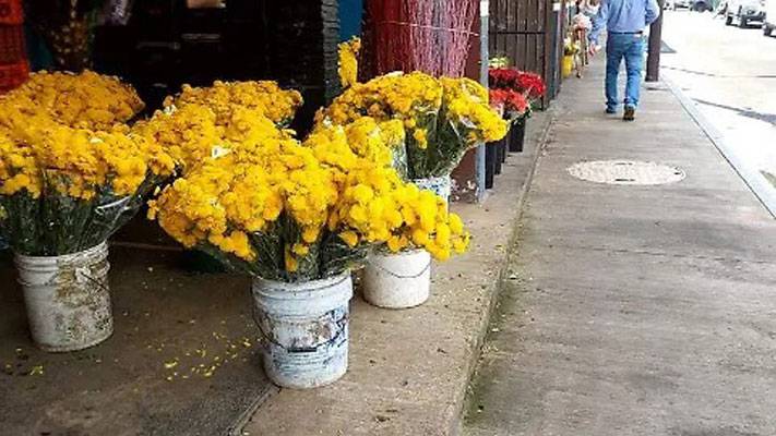 Motociclistas fueron arrollados mientras hacían delivery de unas flores amarillas