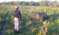 Misterio en Chaco: cayó un objeto metálico del cielo