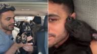 Florida Man Takes In Shelter Puppy For A Week And Warms Hearts With An Instant Connection