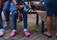 Judge extends temporary measures protecting Guatemalan children from deportation