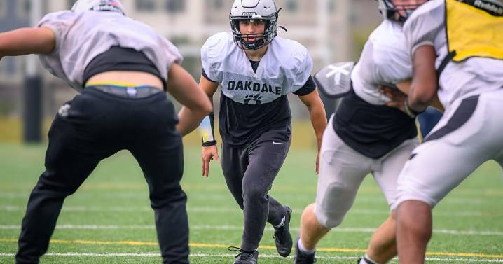 Stein thinks Bears defense has chance to be best in program history