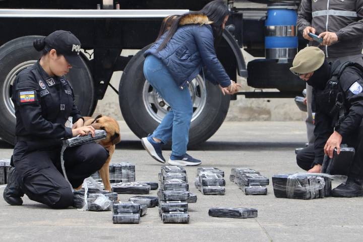 Ejercito de Ecuador decomisa 800 bloques de marihuana y aseguran a dos colombianos
