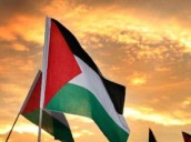 ALBA-TCP celebra reconocimiento del Estado de Palestina