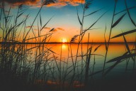 Carrollton Man Dies in Alabama Boating Collision