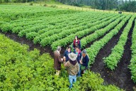Ministerio de agricultura gestiona ayudas para el municipio de pasto