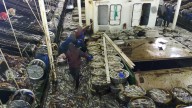Piden a España que controle la importación del calamar argentino para atajar situaciones de "esclavitud humana" y "sobrepesca"