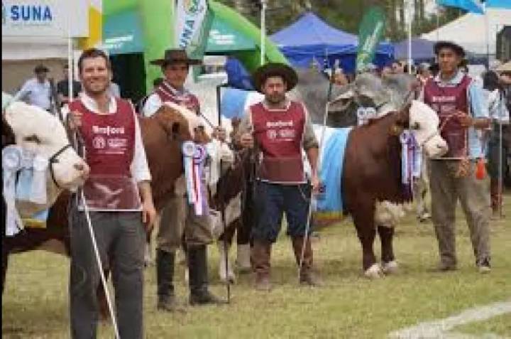 La ExpoBRA 2025 se prepara para mostrar la mejor ganadería del norte al país