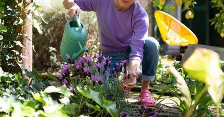 Gardeners urged to 'act now' by doing 3 things to save plants before autumn