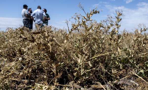 Las sequías de Dia Cero y el desabastecimiento de agua a nivel global ya sucede