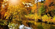 Taking the kids: Leaf-peeping 21st