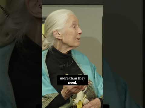 Dr. Jane Goodall Explains Why Planet Health Is At The Core of Economic Solutions