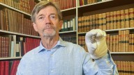 Revelan figura que podría ser el primer "retrato" de un vikingo real