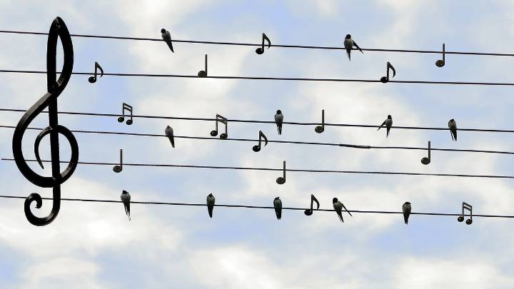 Free orchestra performance in Pembroke Pines - South Florida on the Cheap