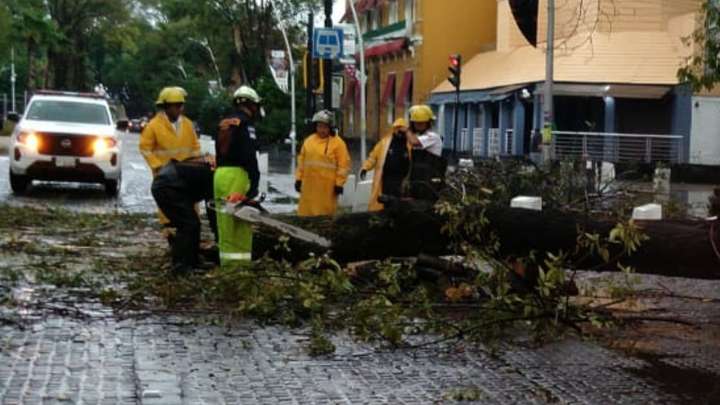 Fuerte lluvia en Puebla deja calles inundadas y derriba árbol de 12 metros HOY 3 de septiembre