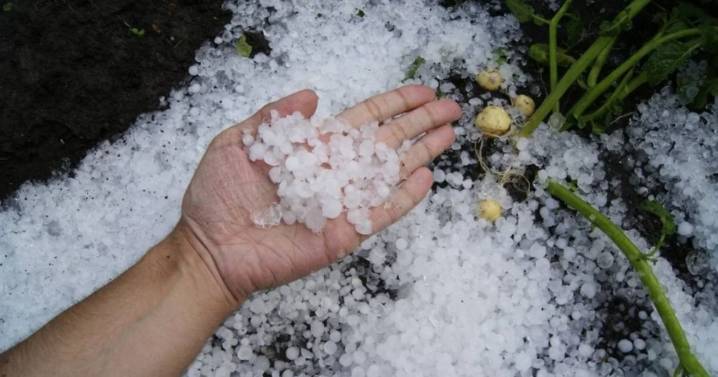 Alerta por tormentas, posible caída de granizo, viento y ráfagas en ocho provincias este jueves