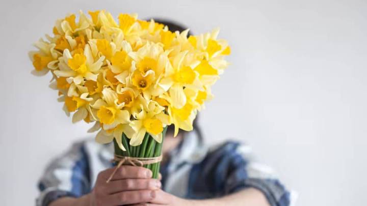 Flores amarillas para el 21 de septiembre: precios y variedades más buscadas en Jujuy
