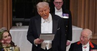Donald Trump's subtle dig at Prince Harry as he heaps praise on William and Kate