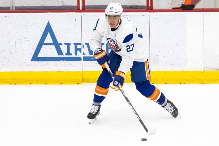 Exclusive | Anders Lee reveals his Islanders contract outlook to The Post