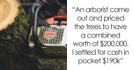 Neighbor Cuts Down White Oak Trees Without Permission, Gets Hit With $190K Settlement