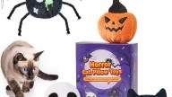 We Found a 4-Pack of Interactive Halloween Cat Toys for Just $10 & Shoppers Say ‘Your Cats Will Be Addicted’