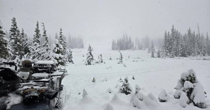 Illinois hunter survives two wintry nights in Colorado backcountry