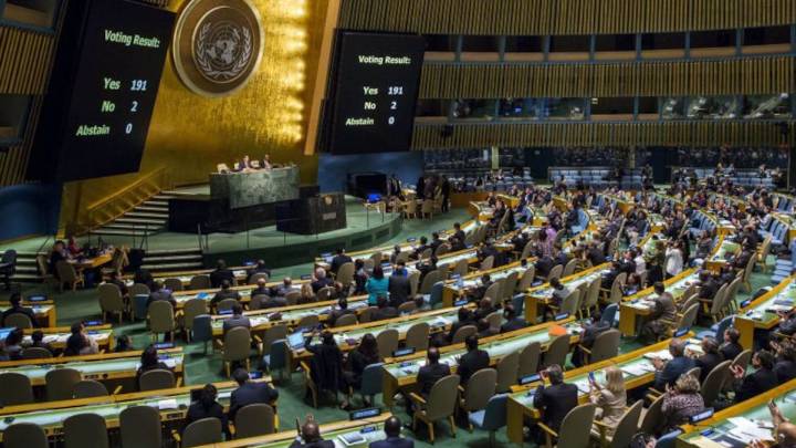 La Asamblea General de la ONU aprueba con mayoría una resolución en favor de crear un Estado palestino
