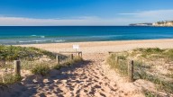 Surfista muere en trágico ataque de tiburón en Australia