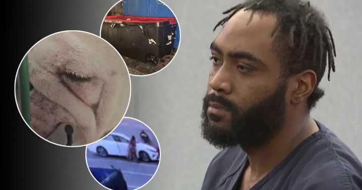 Suspect in death of Reba the bulldog sentenced to 16 to 48 months in prison