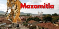 Tigre sorprende por la espalda a una veterinaria en Mazamitla