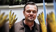 Leonardo Dicaprio Shared Why He Thinks Box