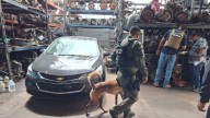 Catean Yonques en busca de vehículos robados y sustancias peligrosas