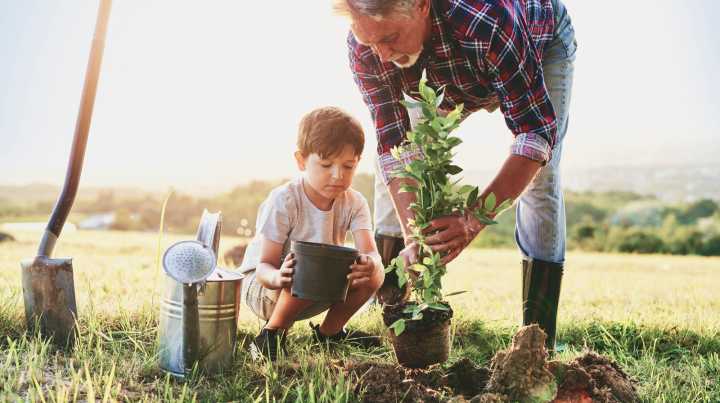 What You Should Know Before Growing A Fruit Tree In Clay Soil