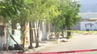 Capturan a presunto feminicida de Yajaira del Río Venegas en Torreón; la apuñalaron repetidas veces
