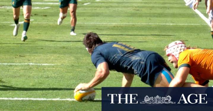 Pumas burn Wallabies with 'electric' try