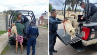 Captan a dueño que golpeaba a un perrito a plena luz del día en calles de Tulancingo