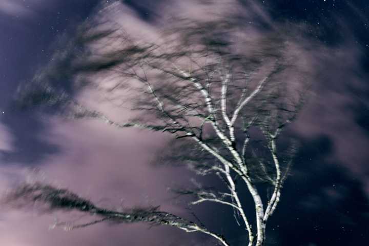 Lee Cataluna: Are We All Afraid Of Disappearing If We Speak The Truth?