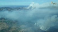Restringido el acceso de visitantes al Hayedo Tejera Negra por el incendio de Peñalba de la Sierra