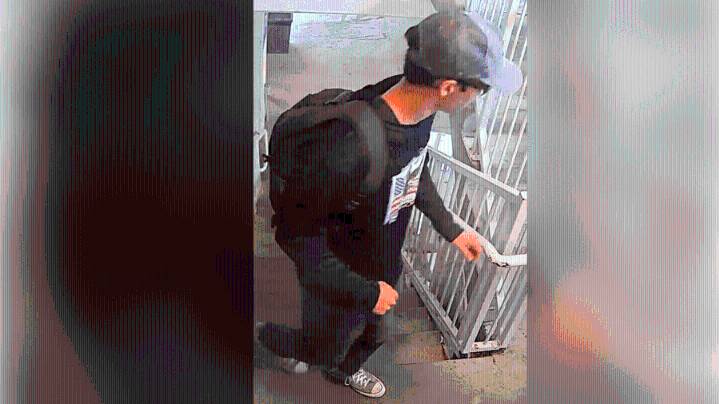 Trump claims the suspect believed to have assassinated Charlie Kirk has been caught