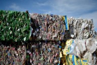 De qué se trata la iniciativa que recicla productos y crea refugios para mascotas